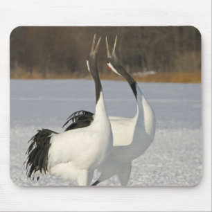 Tapis De Souris Grues japonaises dansant sur la neige