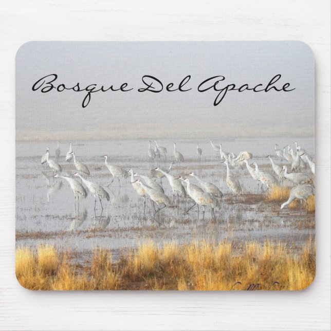 Tapis De Souris Grues Sandhill, carte postale Bosque del Apache (Devant)