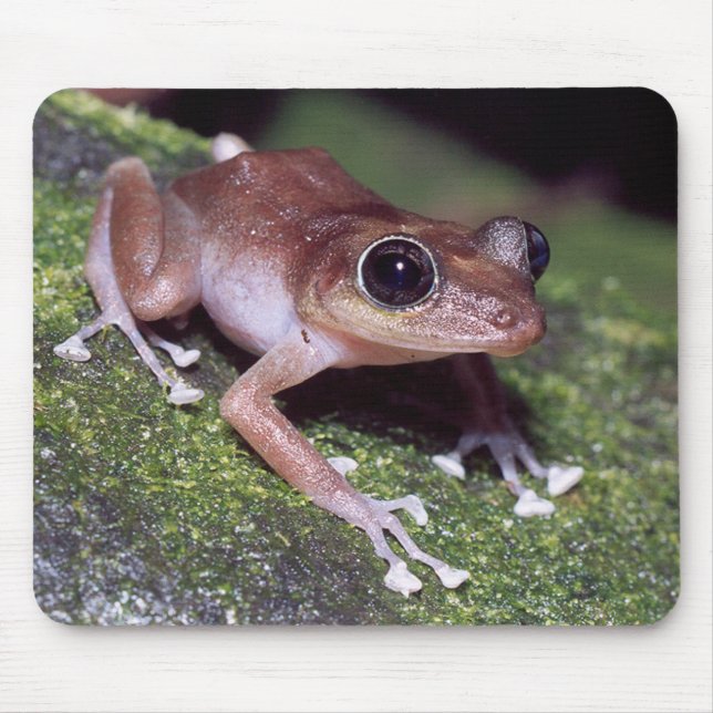 Tapis De Souris Guajon (Devant)