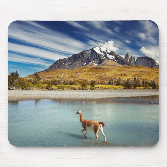 Tapis De Souris Guanaco traversant la rivière en Torres del Paine (Devant)
