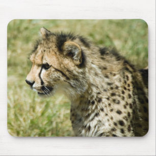 Tapis De Souris Guépard