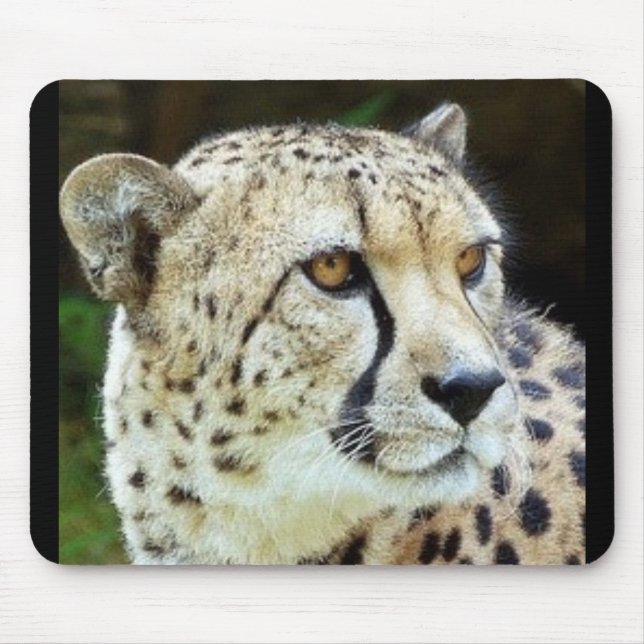 Tapis De Souris guépard (Devant)