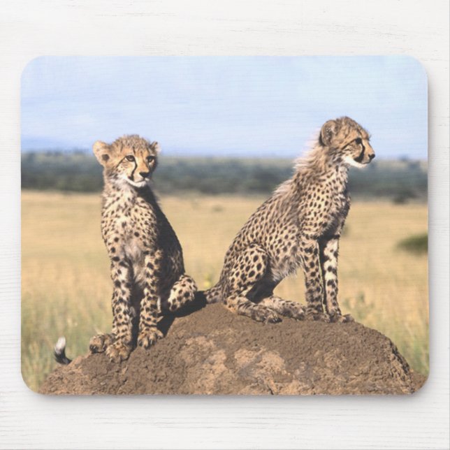 Tapis De Souris Guépard CUB Mousepad (Devant)