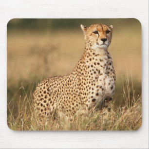 Tapis De Souris Guépard sur un petit monticule pour une meilleure