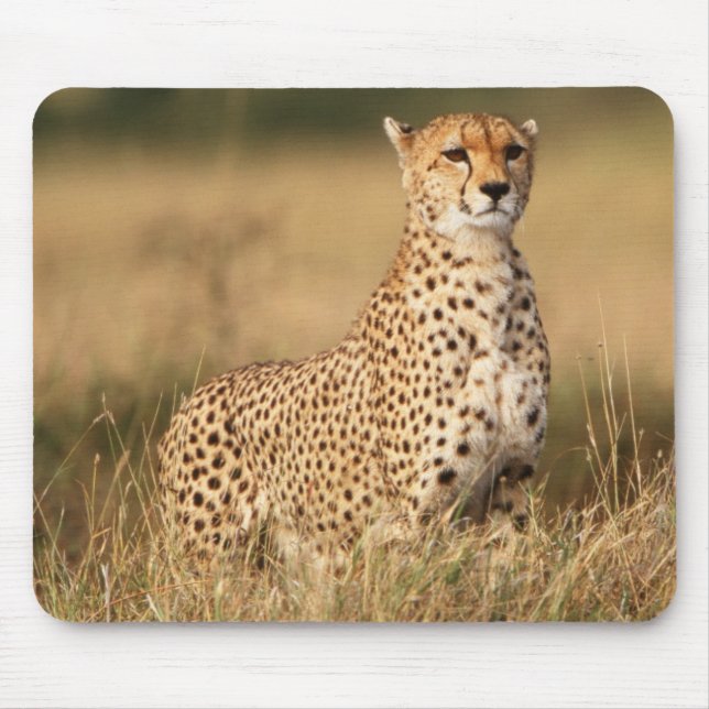 Tapis De Souris Guépard sur un petit monticule pour une meilleure  (Devant)