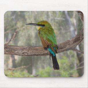 Tapis De Souris Guêpier arc-en-ciel, Australie