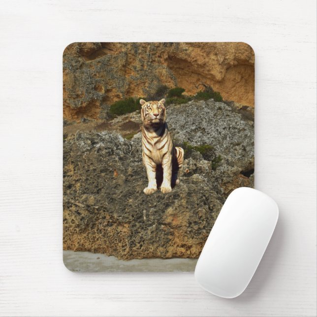 Tapis De Souris Guise blanche, (Avec souris)