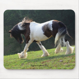 Tapis De Souris Gypsy Vanner