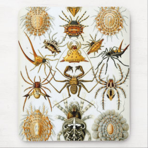 Tapis De Souris Haeckel
