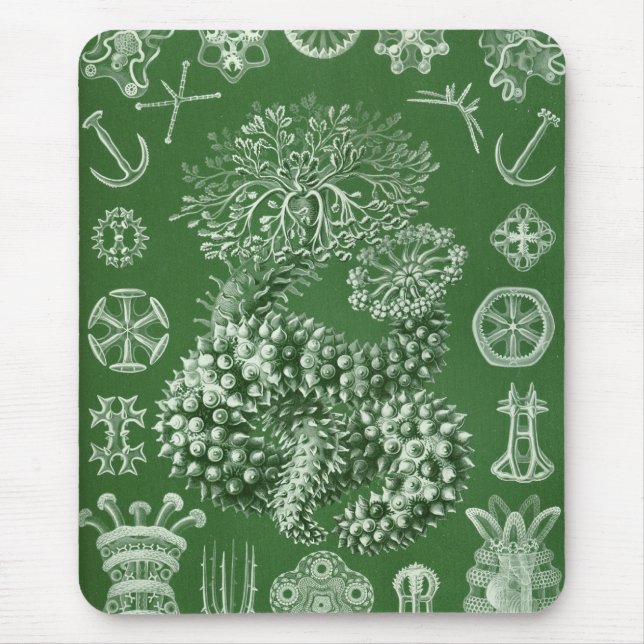 Tapis De Souris Haeckel (Devant)