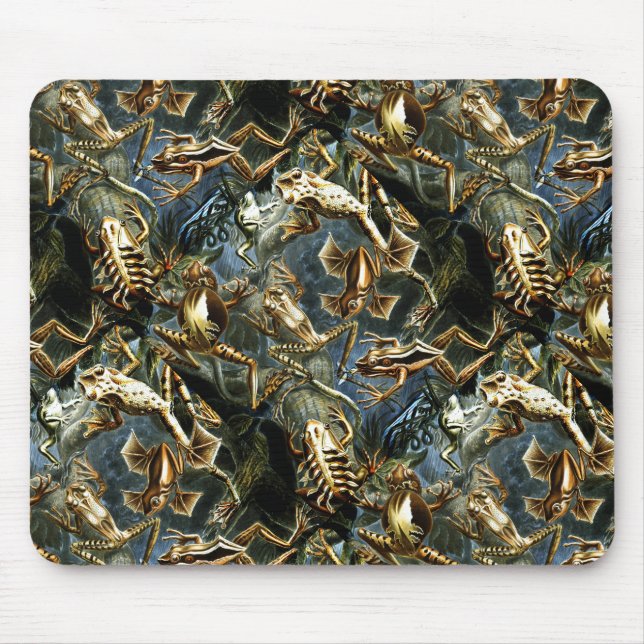 Tapis De Souris Haeckel Amphibiens Vintages (Devant)