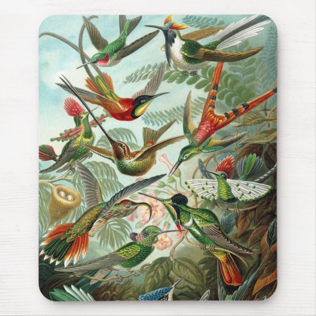 Tapis De Souris Haeckel Birds (Devant)