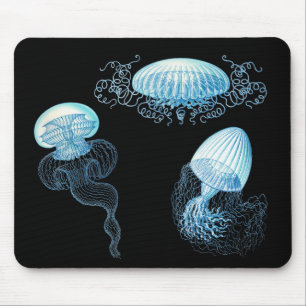 Tapis De Souris Haeckel Jellyfish