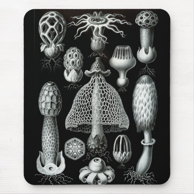 Tapis De Souris Haeckel Négatif (Devant)