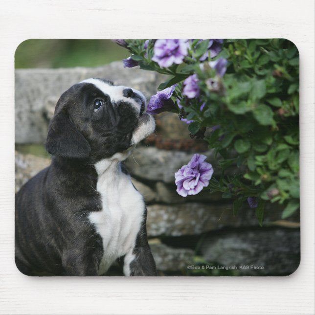 Tapis De Souris Halètement de chien de boxeur (Devant)