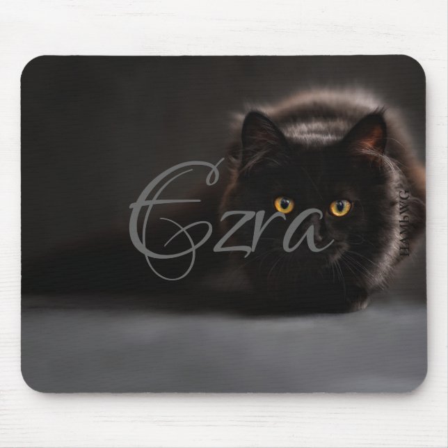 Tapis De Souris HAMbWG - Plaque souris - Chat noir (Devant)