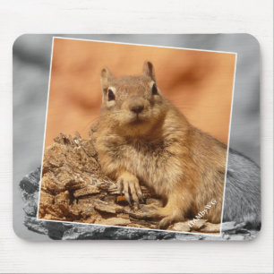 Tapis De Souris HAMbyWG - Écureuil célèbre - Pad souris