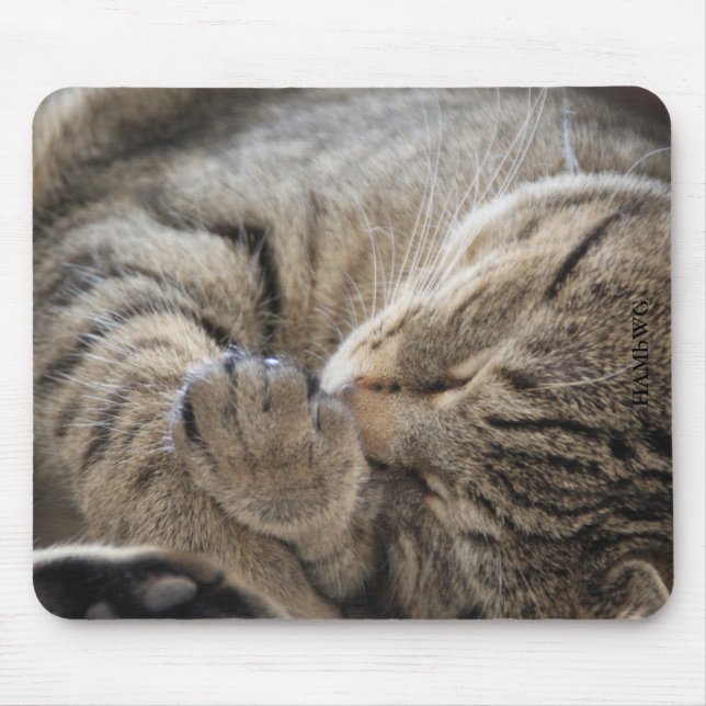 Tapis De Souris HAMbyWG - Plaque de souris - Cuddling Kitten (Devant)