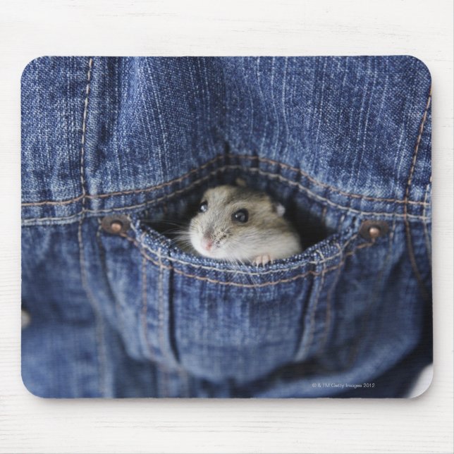 Tapis De Souris Hamster dans la poche (Devant)