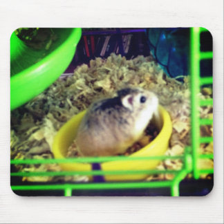 Tapis De Souris Hamster de Robo