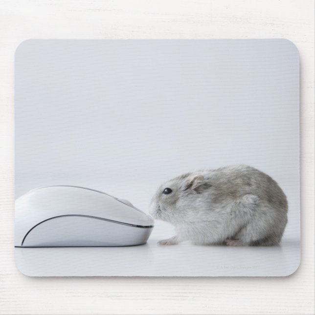 Tapis De Souris Hamster et souris d'ordinateur (Devant)