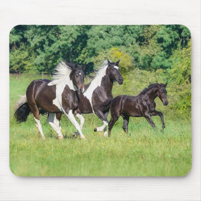 Tapis De Souris Harde de Chevaux Pinto Barock avec mignonette Foal (Devant)