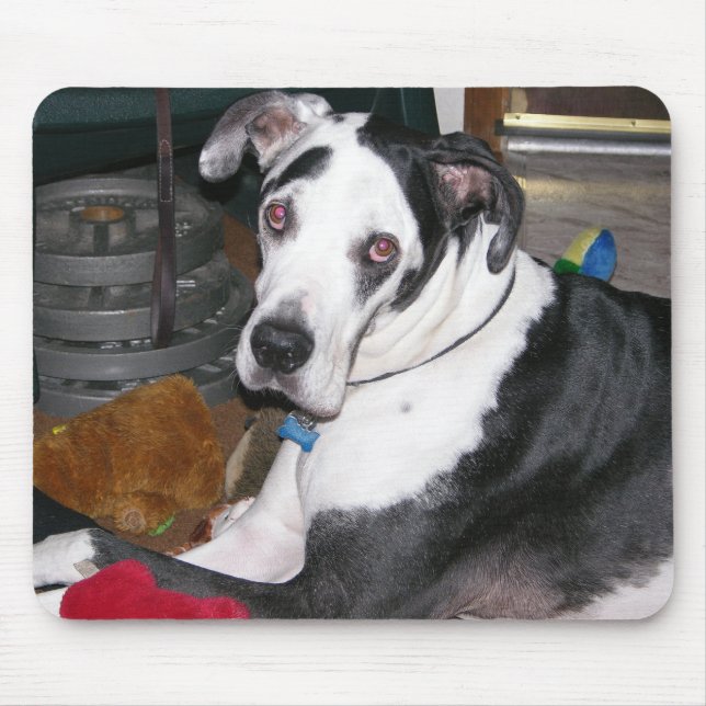 Tapis De Souris Harlequin great dane (Devant)