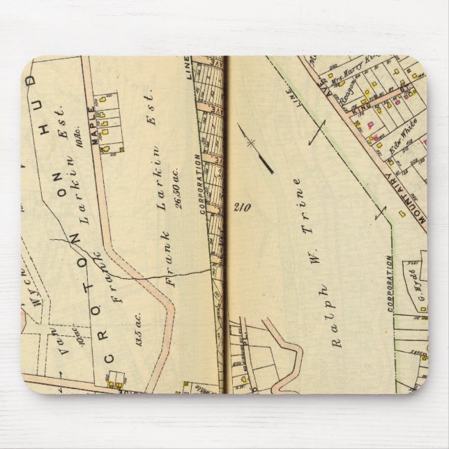 Tapis De Souris Harmon Park, New York (Devant)