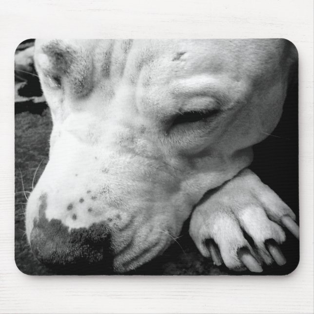 Tapis De Souris harry potier cicatrice chien blanc pit bull (Devant)