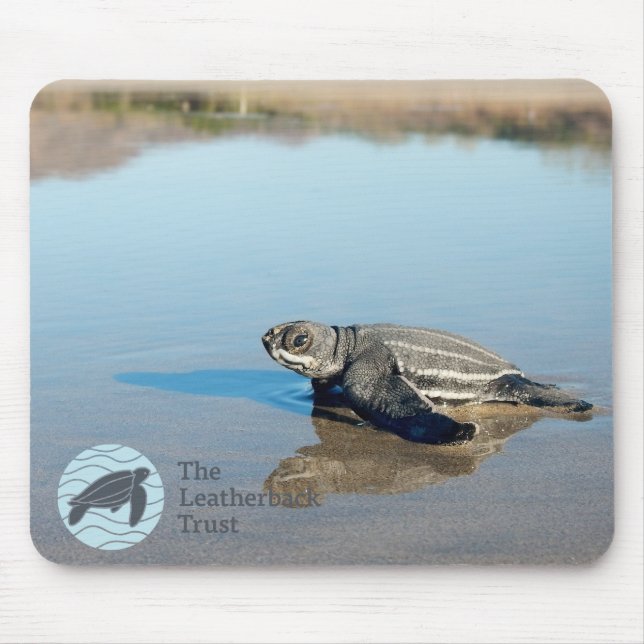 Tapis De Souris Hatchling Mousepad (Devant)