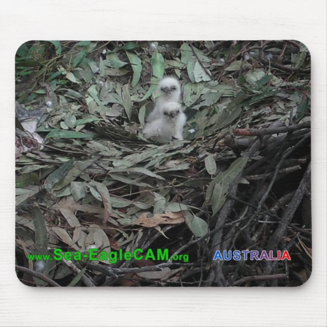 Tapis De Souris Hatchlings S1 et S2 Mousepad horizontal (Devant)