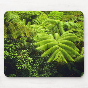 Tapis De Souris Hawaii, Grande Île, Verdure tropicale luxuriante e