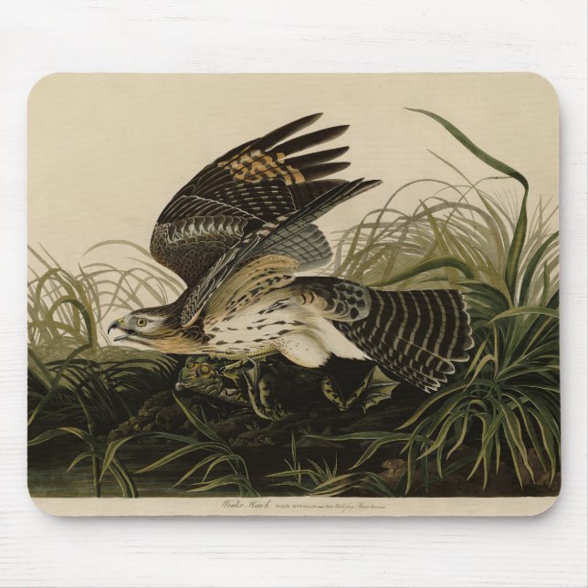 Tapis De Souris Hawk d'hiver, les oiseaux d'Amérique de John James (Devant)