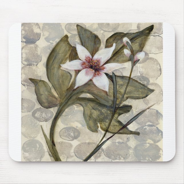 Tapis De Souris HAZ26 Amazonie 4.tif (Devant)