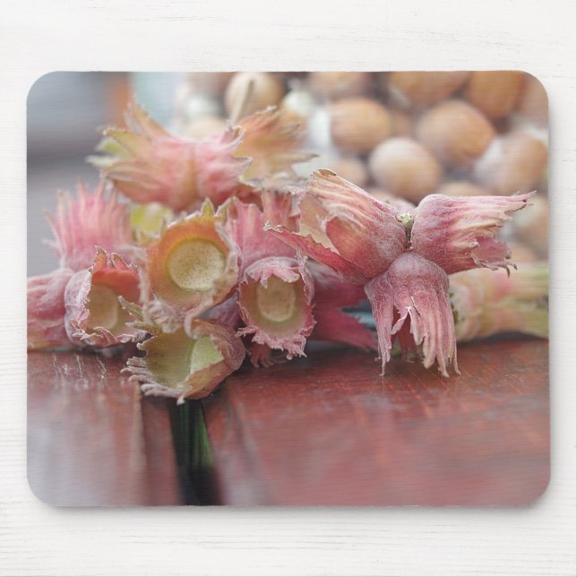 Tapis De Souris Hazelnuts.JPG (Devant)