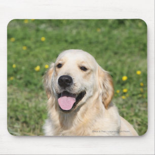 Tapis De Souris Headshot 1 de golden retriever