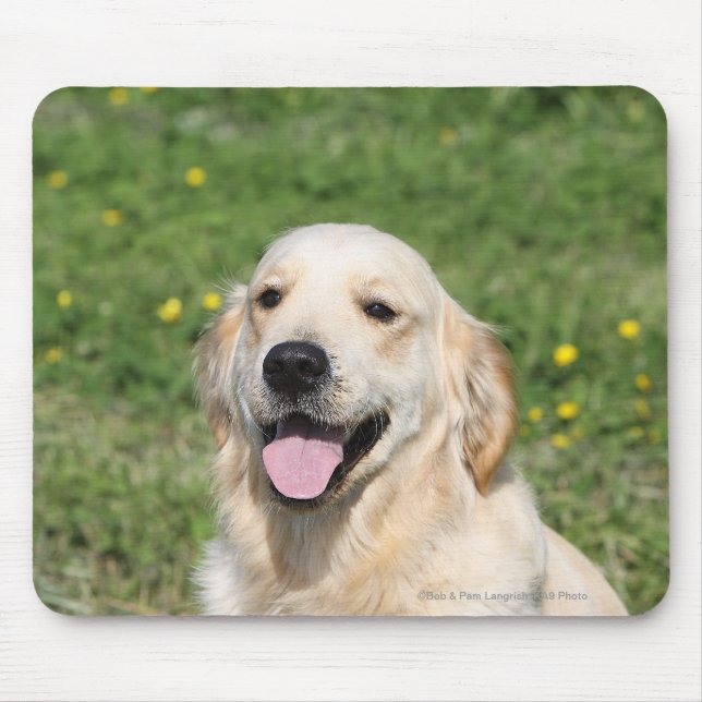 Tapis De Souris Headshot 1 de golden retriever (Devant)