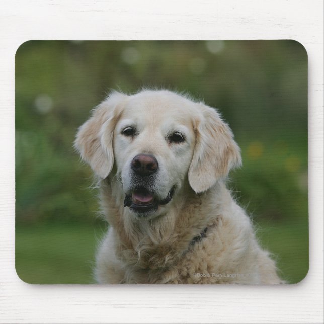 Tapis De Souris Headshot 2 de golden retriever (Devant)