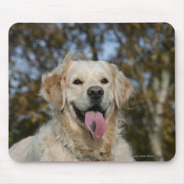 Tapis De Souris Headshot 3 de golden retriever (Devant)