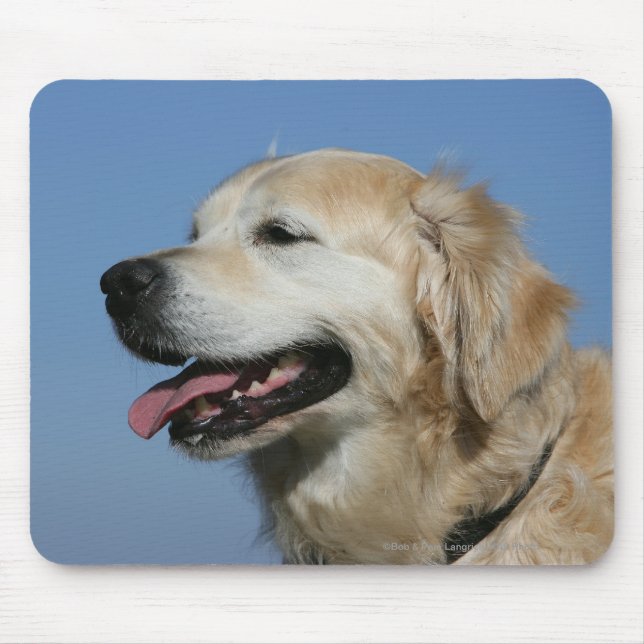 Tapis De Souris Headshot 4 de golden retriever (Devant)