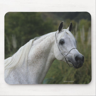 Tapis De Souris Headshot arabe 1 de cheval
