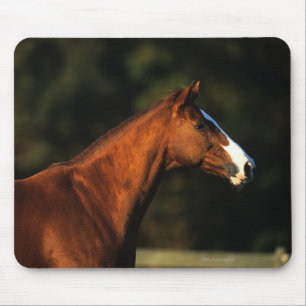 Tapis De Souris Headshot de cheval de pur sang