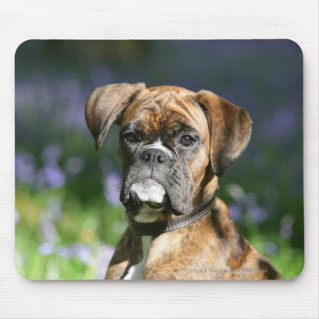 Tapis De Souris Headshot de chien de boxeur (Devant)