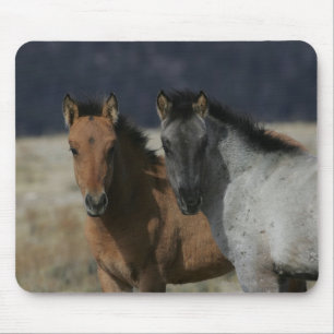 Tapis De Souris Headshot de poulain de mustang