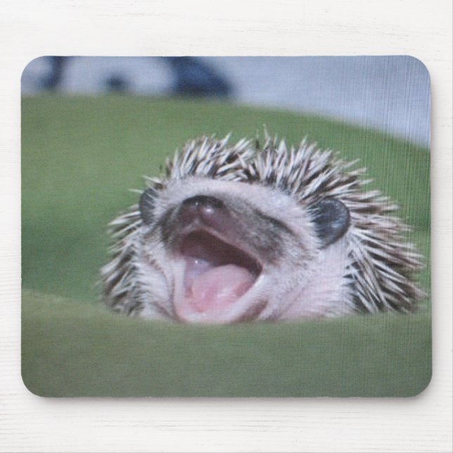 Tapis De Souris hedgy (Devant)