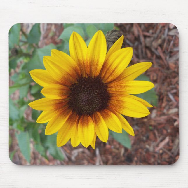 Tapis De Souris Helianthus Annuus (Devant)