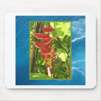 Tapis De Souris Heliconia rostrata