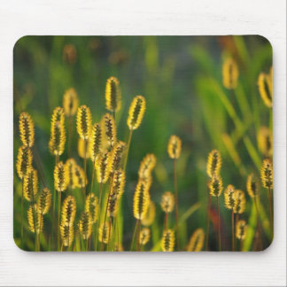 Tapis De Souris Herbe brillante - Mousepad