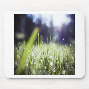 Tapis De Souris Herbe verte