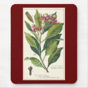 Tapis De Souris Herbes et épices alimentaires vintage, plante de c